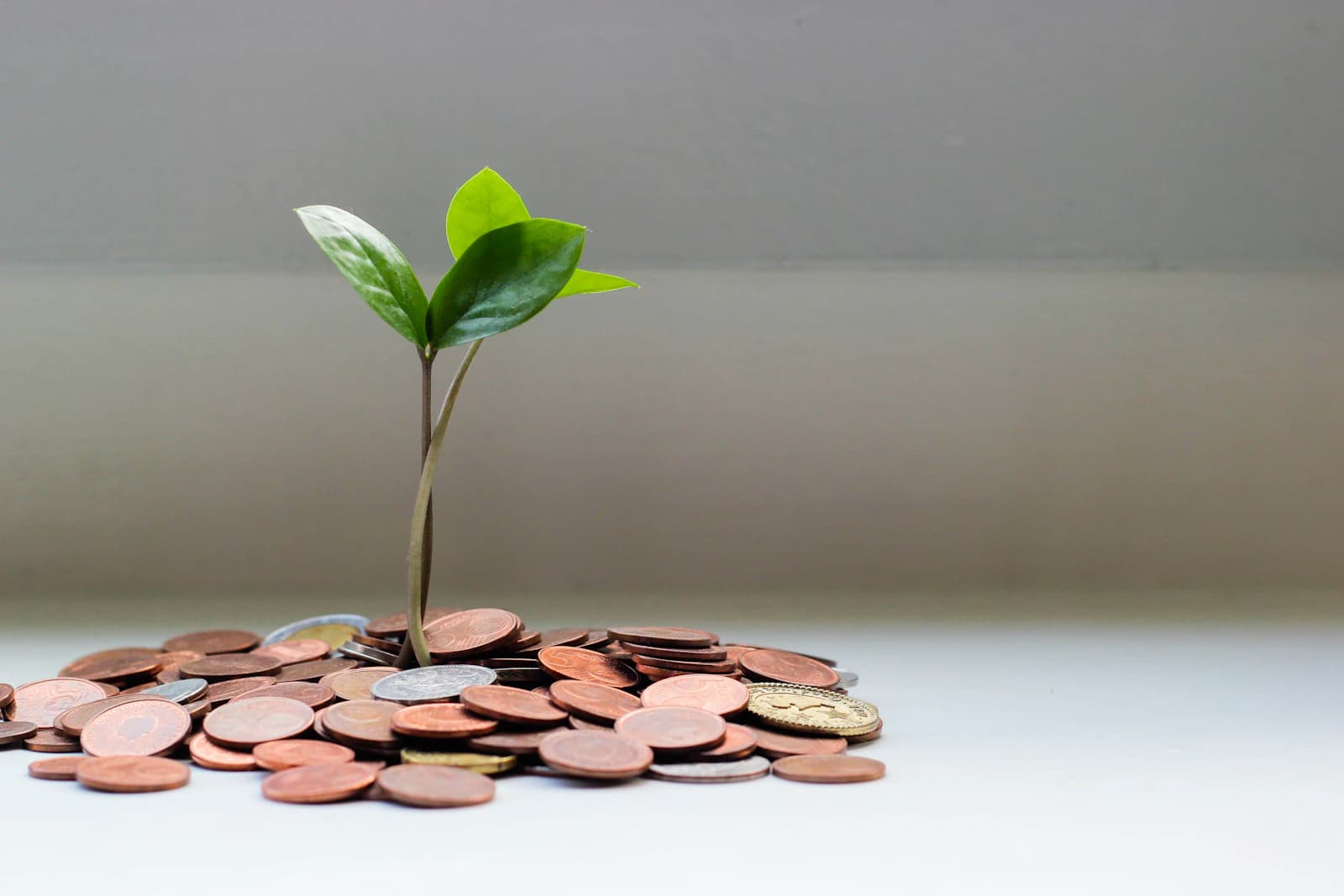 Compound Interest and Your FIRE Timeline: Why Savings Rate Changes Everything